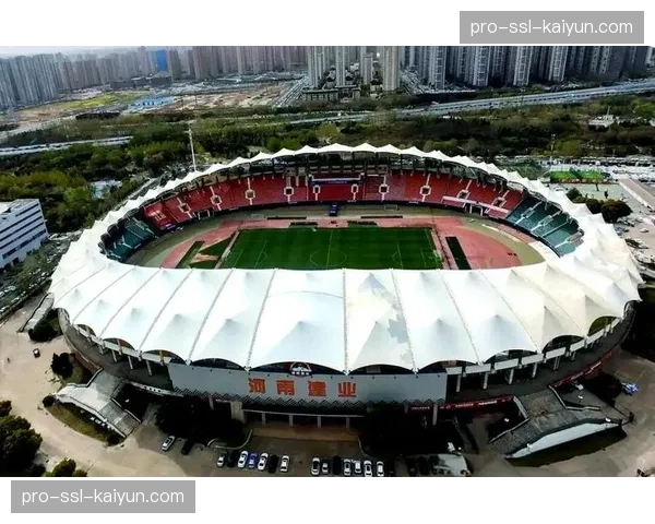 通讯：航海体育场的120分钟——记河南队绝杀后与球迷的互动庆典